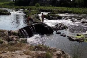 Mu&ntilde;oz Carlos E