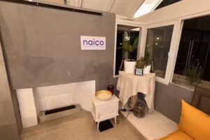 Naico Real Estate