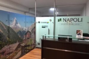 Napoli Negocios Inmobiliarios Oficinas administrativas