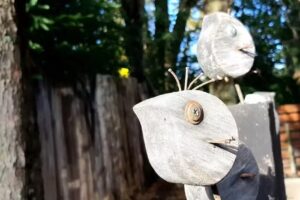 &Ntilde;ireBosque casas de pueblo