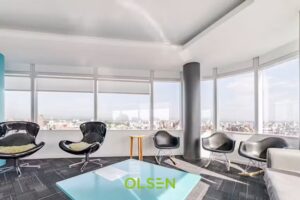 Olsen Propiedades