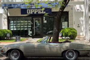 Oppel Inmuebles Sucursal Belgrano R
