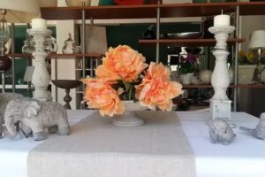 Organizaci&oacute;n Angeloni