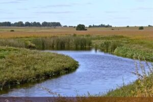 Organizaci&oacute;n Taboada Inmobiliaria Rural