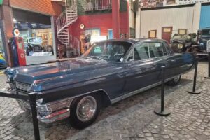 Organizacion Villa Real