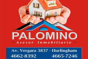 Palomino propiedades