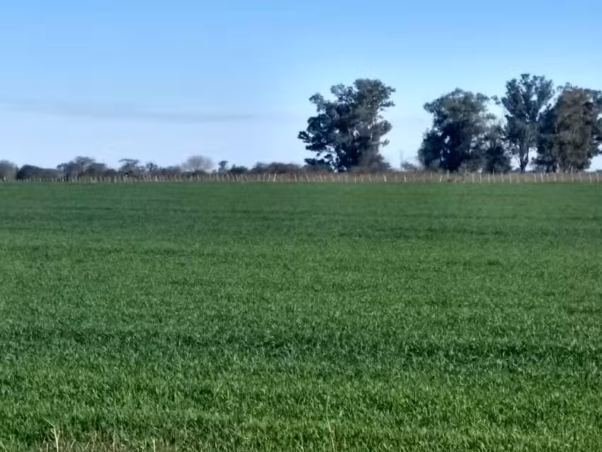 Peralta Ramos Inversiones Inmobiliarias