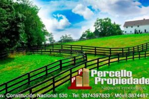 Percello Propiedades
