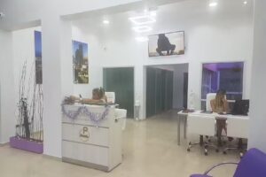 Performance Propiedades