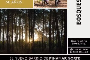 Pernice Edgardo Alem Propiedades Inmobiliaria