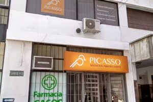 Picasso Negocios Inmobiliarios