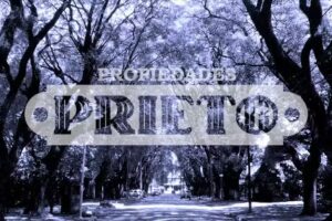 Prieto Propiedades Ciudad Jard&iacute;n Palomar