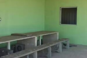 Quinchos La abuela Betty