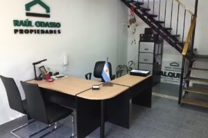 Raul Odasso Propiedades