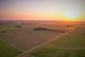 Ravenir Inmobiliaria