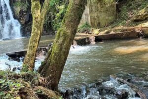 Red Inmobiliaria Neuquen