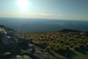 Renover Inmobiliaria