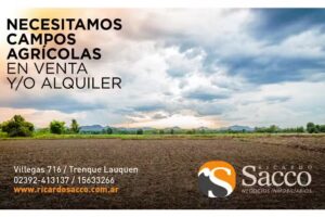 Ricardo Sacco Inmobiliaria