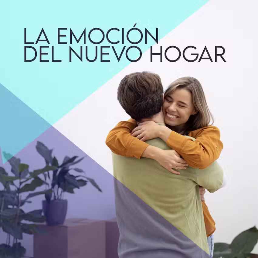 Rmv Inmobiliaria