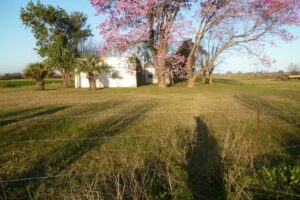 Roberto L Casal Martillero P&uacute;blico y Corredor de Comercio