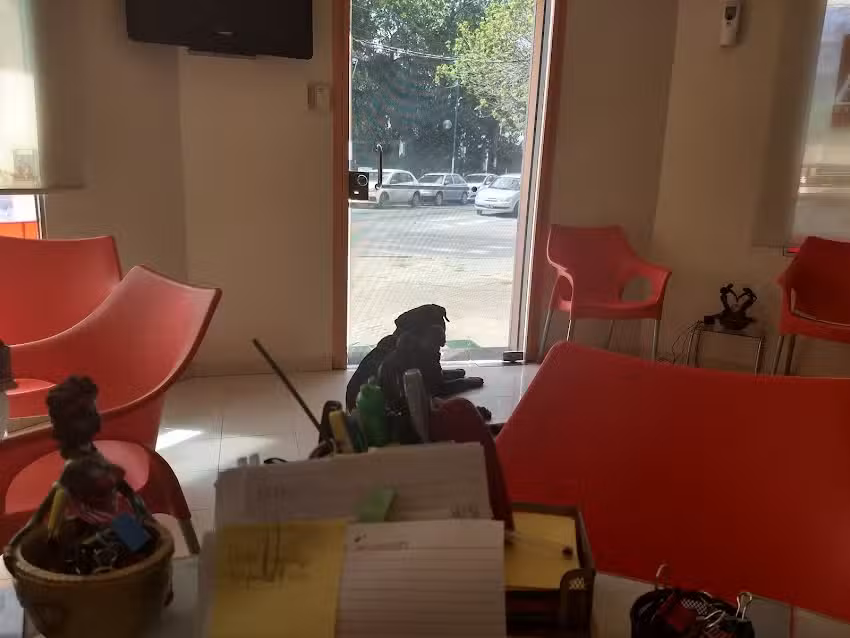 Roma Propiedades