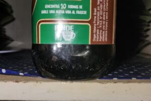 Roncoroni Propiedades Sur