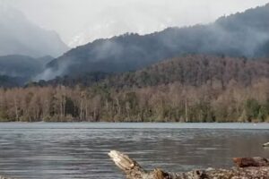 San Martin de los Andes Propiedades