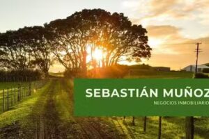 Sebasti&aacute;n Mu&ntilde;oz Negocios Inmobiliarios