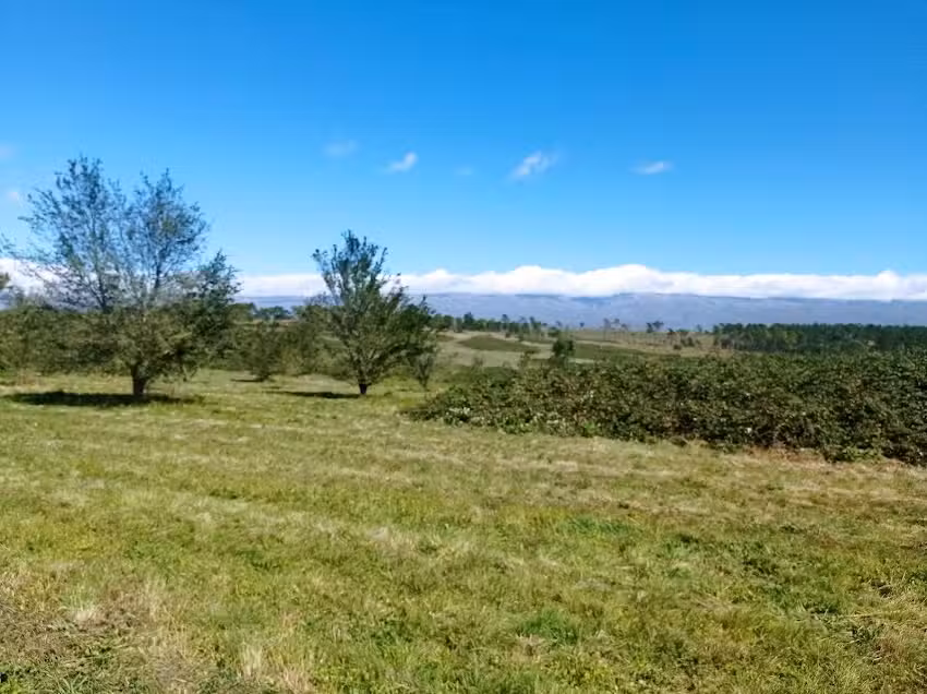 Sommet Loteo De Monta&ntilde;a