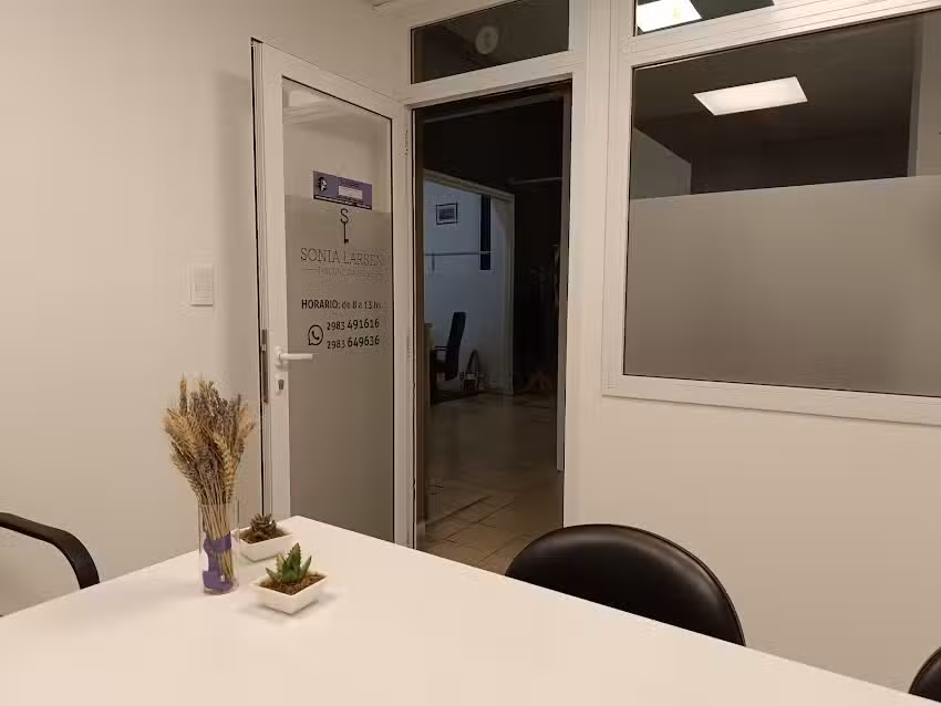 Sonia Larsen Propiedades