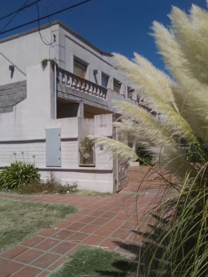 Su&aacute;rez Propiedades