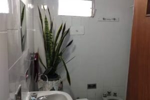 Temporarios Alvear Sde