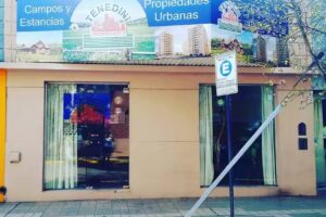 Tenedini Propiedades