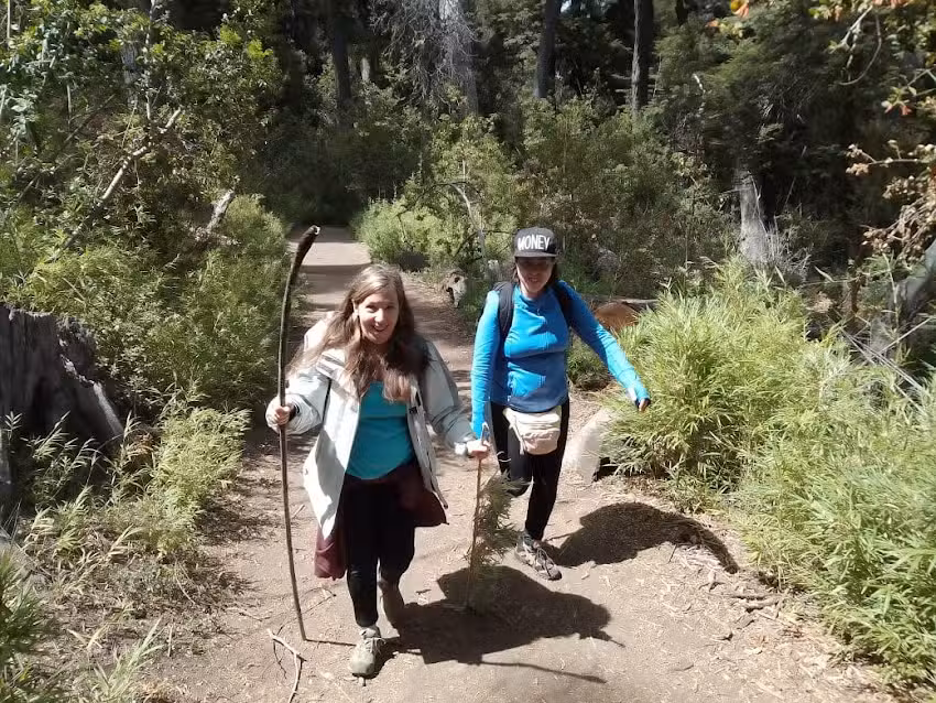 Terra Patagonia propiedades