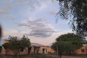 T&oacute;mbola la Millonaria cortez