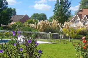 Torriani Propiedades