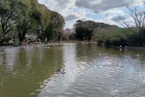 Traditio propiedades