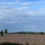 Trust Negocios Inmobiliarios