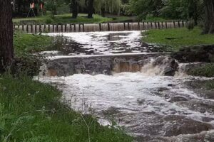 Un lugar en el mundo