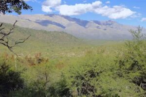 Venta de terrenos en Traslasierras