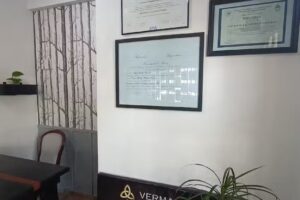 Vermaercke propiedades