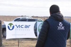 Vicar Ganadera Sa