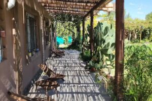 Vi&ntilde;as Compartidas