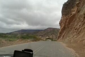 Viviana Riccardi Inmobiliaria