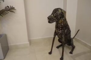 Wainer Asesores Inmobiliarios