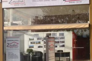 Zacchia bienes ra&iacute;ces