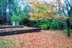 Zar Cudini Propiedades Pinamar