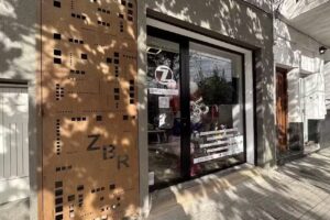 Zorrilla bienes raices